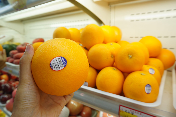 进口南非橙子不用等，青岛这家橙子进口报关行为您一站式进口清关代理。(图1)